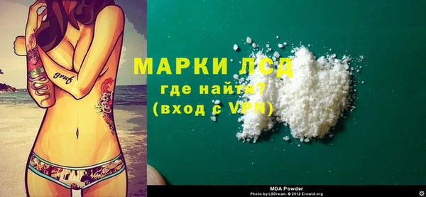 индика Алексин