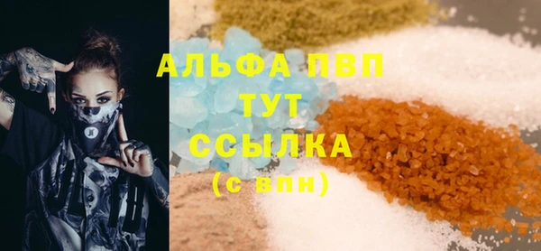индика Алексин