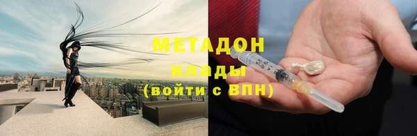 индика Алексин