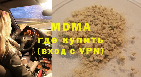 индика Алексин