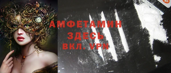 индика Алексин