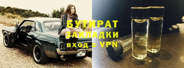 индика Алексин