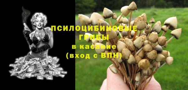 гидра Алзамай